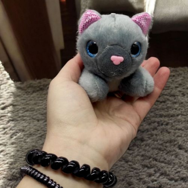Кошеня з переноскою (фіолетовий)