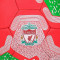 Мʼяч футбольний LIVERPOOL Ліверпуль  №5, PU 420 грам, 32 панелі,Пакістан,сітка+голка в комплекті
