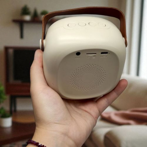 Колонка (2 мікрофони, bluetooth, підсвічування, зміна голосу, type-c, слот для карти пам’яті, AUX роз’єм)