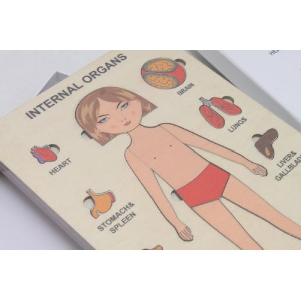 Пазли навчальні "Internal Organs: Дівчинка"