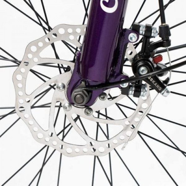 Велоcипед міський Corso «Viola» 26 дюймів VL-26914