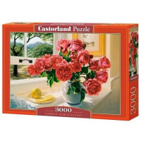 Пазл Castorland 3000
