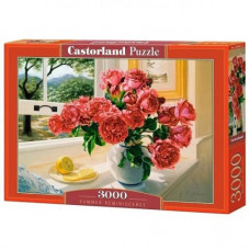 Пазл Castorland 3000