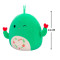 М'яка іграшка Squishmallows – Друзі Кактуси (2 шт, 19 cm)