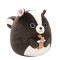 М'яка іграшка Squishmallows - Скунс Скайлер (19 cm)