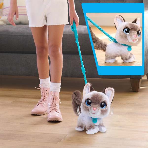 Інтерактивна іграшка FurReal серії "Wag-A-Lots" – Кошеня