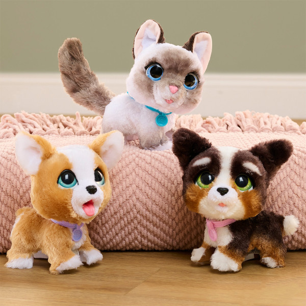 Інтерактивна іграшка FurReal серії "Wag-A-Lots" – Кошеня
