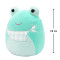 М'яка іграшка Squishmallows - Жабка Нові (19 cm)