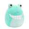 М'яка іграшка Squishmallows - Жабка Нові (19 cm)