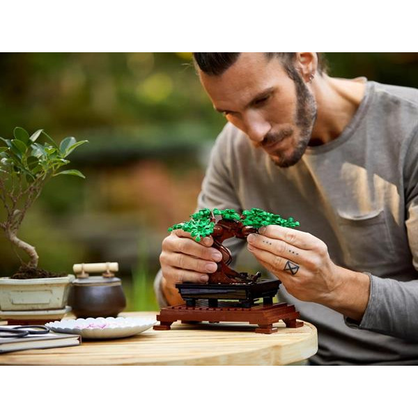 Конструктор LEGO Botanicals Дерево бонсай 878 деталей (10281)