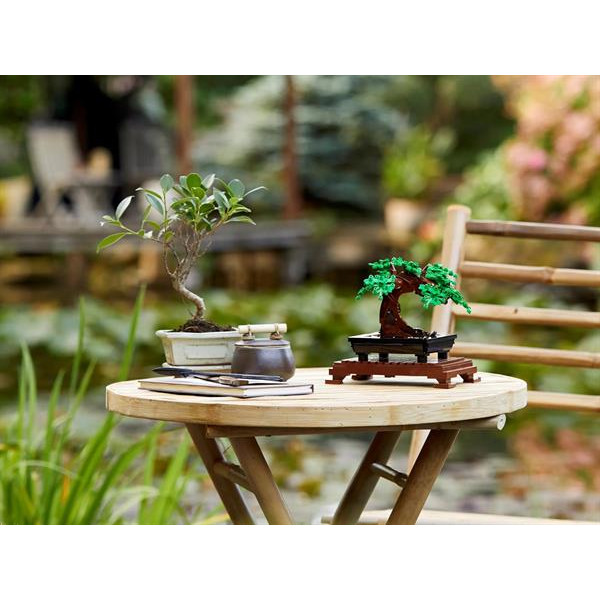 Конструктор LEGO Botanicals Дерево бонсай 878 деталей (10281)