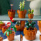Конструктор LEGO Botanicals Мініатюрні рослини 758 деталей (10329)