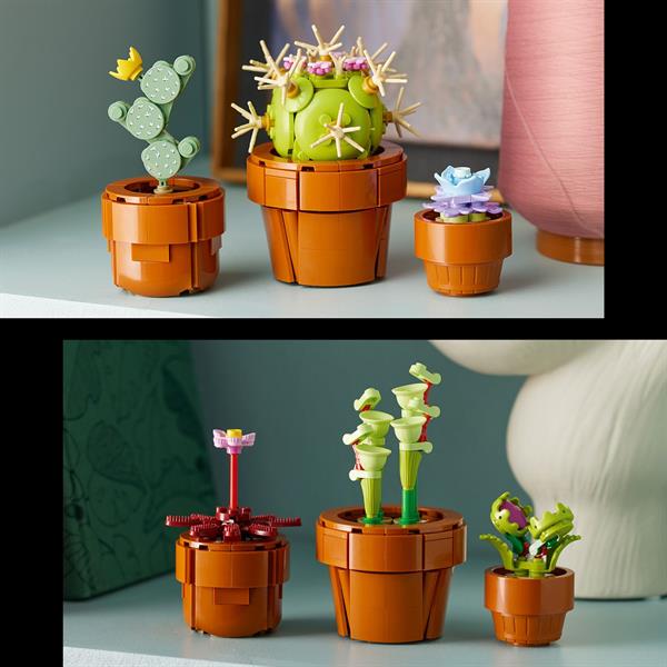 Конструктор LEGO Botanicals Мініатюрні рослини 758 деталей (10329)