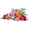 Конструктор LEGO Botanicals Милий рожевий букет квітів 749 деталей (10342)