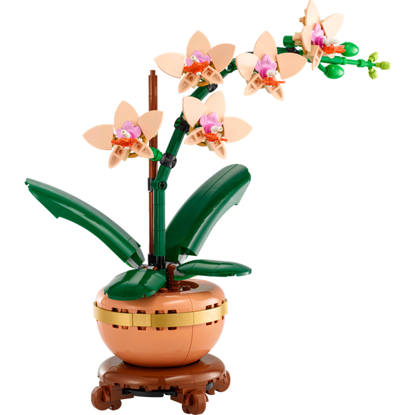 Конструктор LEGO Botanicals Міні орхідея 274 деталі (10343)