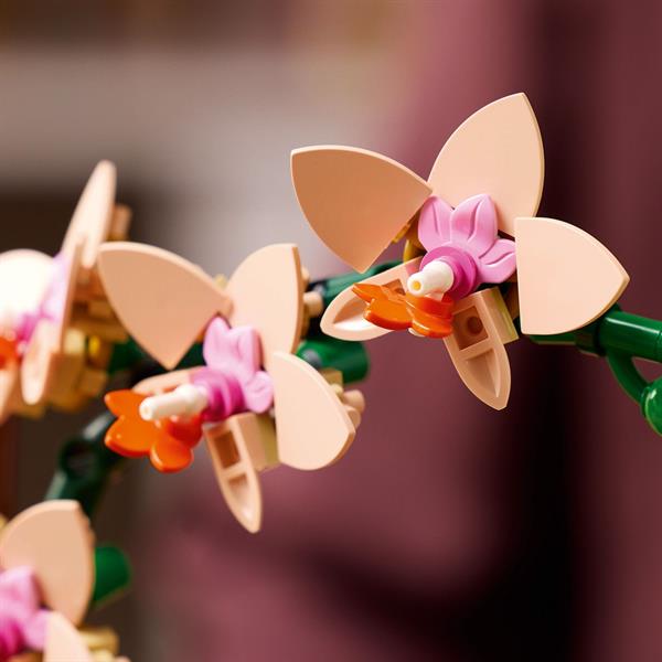 Конструктор LEGO Botanicals Міні орхідея 274 деталі (10343)