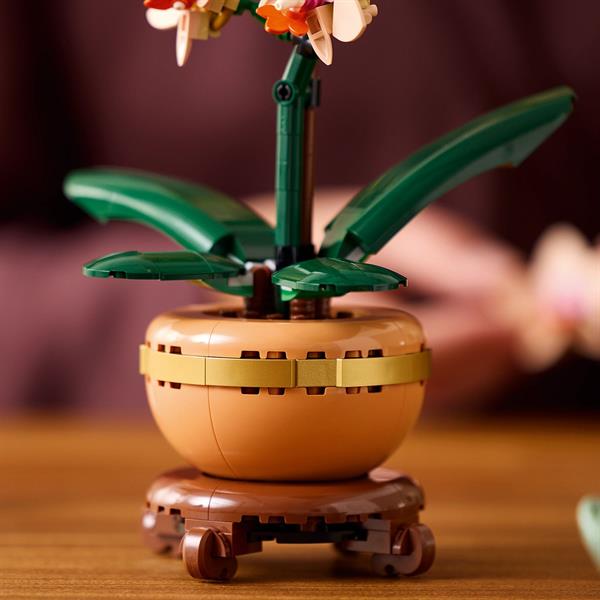 Конструктор LEGO Botanicals Міні орхідея 274 деталі (10343)