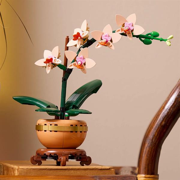 Конструктор LEGO Botanicals Міні орхідея 274 деталі (10343)