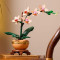 Конструктор LEGO Botanicals Міні орхідея 274 деталі (10343)