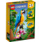 Конструктор LEGO Creator Екзотичний папуга 3 в 1, 253 деталі (31136)