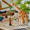 Конструктор LEGO Creator Дикі тварини сафарі 780 деталей (31150)