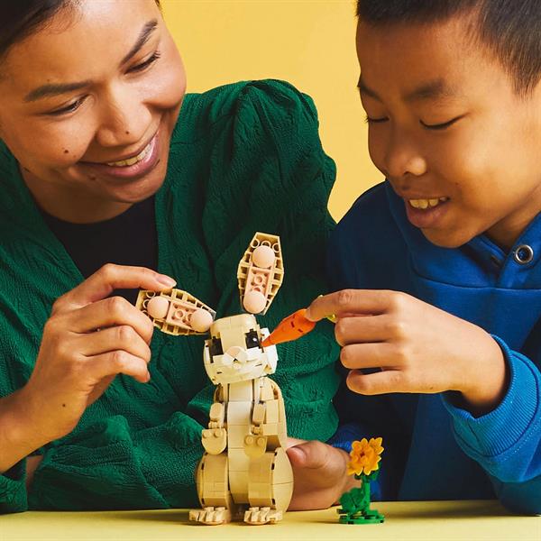 Конструктор LEGO Creator Чарівне кроленя 326 деталей (31162)