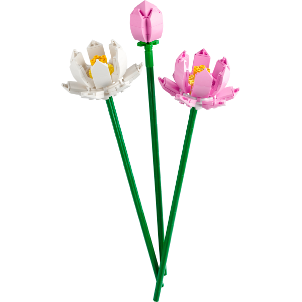 Конструктор LEGO Botanicals Квіти лотоса 220 деталей (40647)