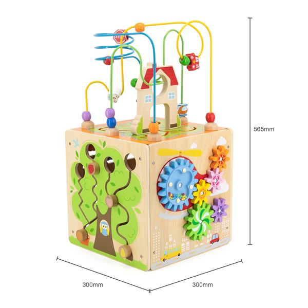 Бізікуб дерев'яний Viga Toys 5 в 1 (44591)