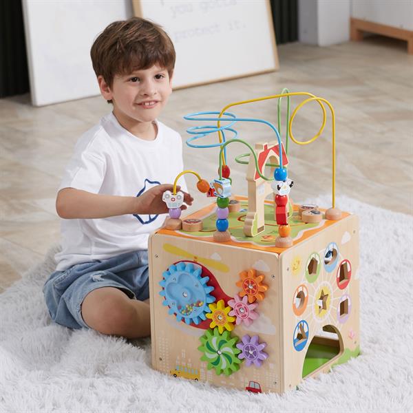 Бізікуб дерев'яний Viga Toys 5 в 1 (44591)